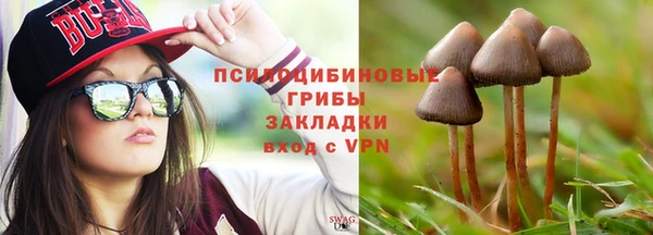 apvp Волоколамск